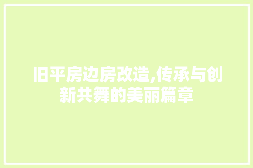 旧平房边房改造,传承与创新共舞的美丽篇章