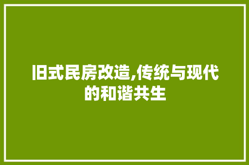 旧式民房改造,传统与现代的和谐共生