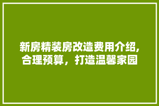 新房精装房改造费用介绍,合理预算，打造温馨家园
