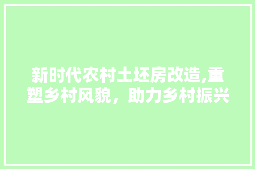 新时代农村土坯房改造,重塑乡村风貌，助力乡村振兴