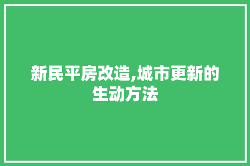 新民平房改造,城市更新的生动方法 地面装修