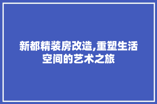 新都精装房改造,重塑生活空间的艺术之旅 地面装修