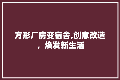 方形厂房变宿舍,创意改造，焕发新生活