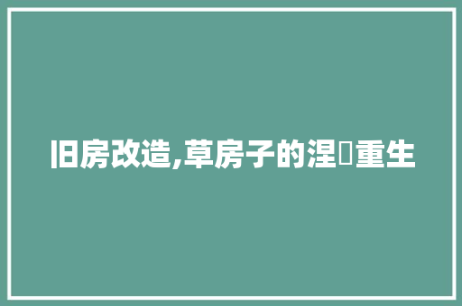 旧房改造,草房子的涅槃重生