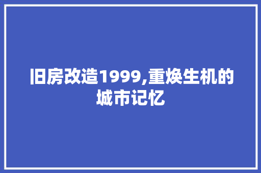 旧房改造1999,重焕生机的城市记忆 景观设计