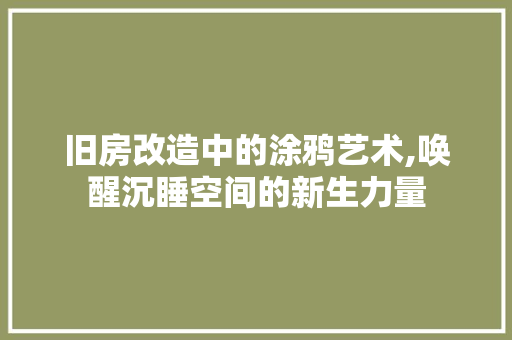 旧房改造中的涂鸦艺术,唤醒沉睡空间的新生力量