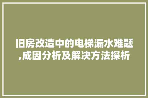 旧房改造中的电梯漏水难题,成因分析及解决方法探析