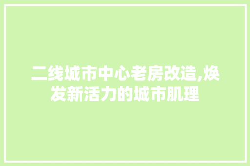 二线城市中心老房改造,焕发新活力的城市肌理