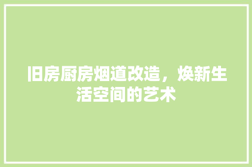 旧房厨房烟道改造，焕新生活空间的艺术