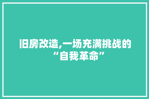 旧房改造,一场充满挑战的“自我革命”