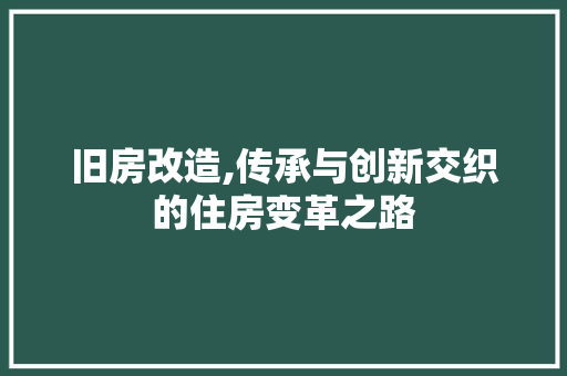 旧房改造,传承与创新交织的住房变革之路 地面装修