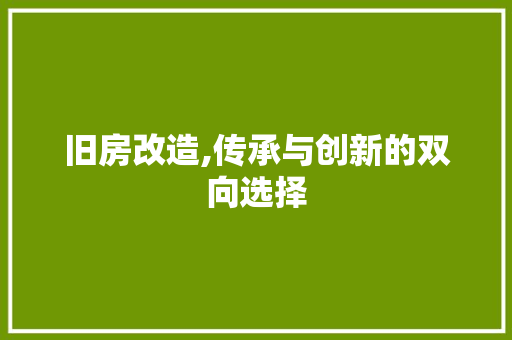 旧房改造,传承与创新的双向选择