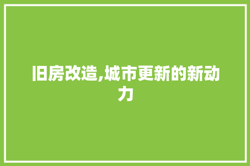 旧房改造,城市更新的新动力 墙面装饰