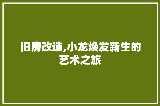 旧房改造,小龙焕发新生的艺术之旅