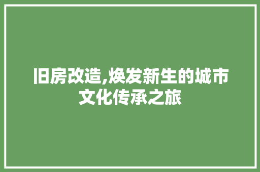 旧房改造,焕发新生的城市文化传承之旅