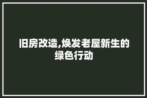 旧房改造,焕发老屋新生的绿色行动