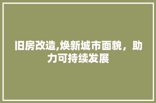 旧房改造,焕新城市面貌，助力可持续发展 隔断设计
