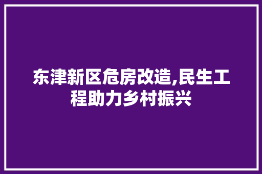 东津新区危房改造,民生工程助力乡村振兴