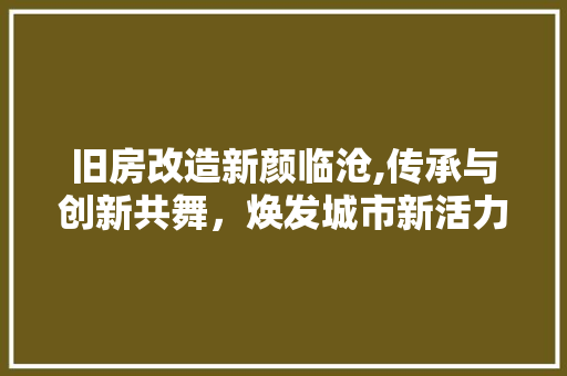 旧房改造新颜临沧,传承与创新共舞，焕发城市新活力