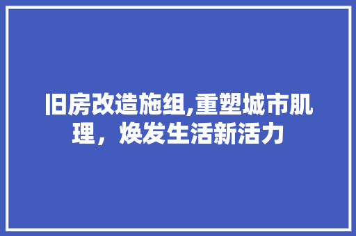 旧房改造施组,重塑城市肌理，焕发生活新活力