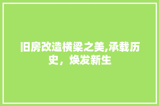 旧房改造横梁之美,承载历史，焕发新生