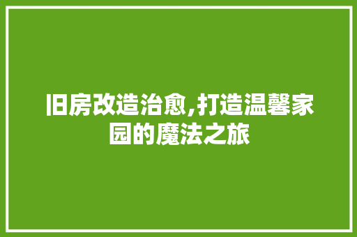 旧房改造治愈,打造温馨家园的魔法之旅