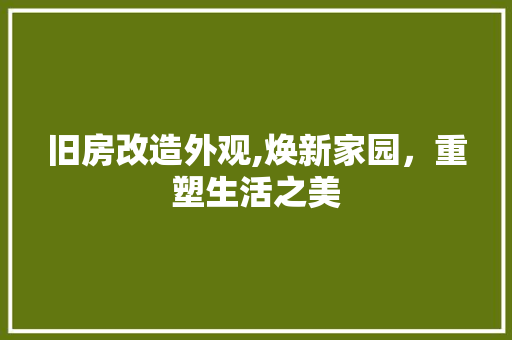 旧房改造外观,焕新家园，重塑生活之美 庭院装修