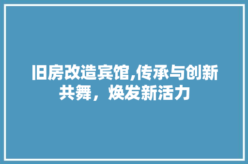 旧房改造宾馆,传承与创新共舞，焕发新活力