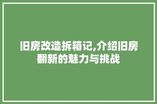 旧房改造拆箱记,介绍旧房翻新的魅力与挑战