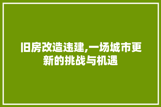 旧房改造违建,一场城市更新的挑战与机遇