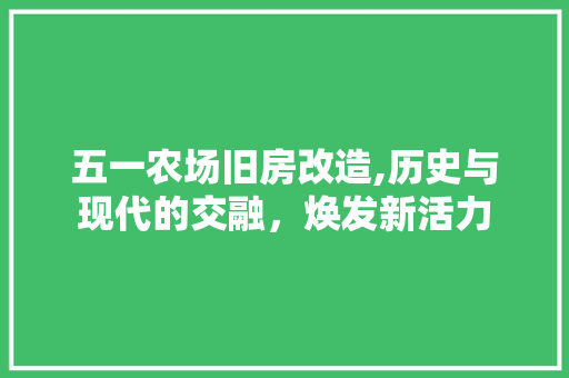 五一农场旧房改造,历史与现代的交融，焕发新活力 庭院装修