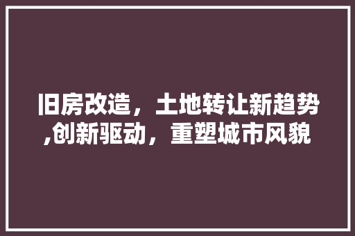 旧房改造，土地转让新趋势,创新驱动，重塑城市风貌
