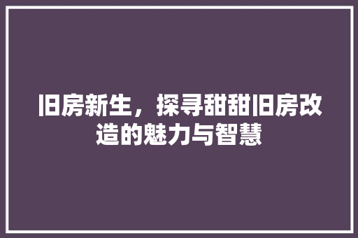 旧房新生，探寻甜甜旧房改造的魅力与智慧