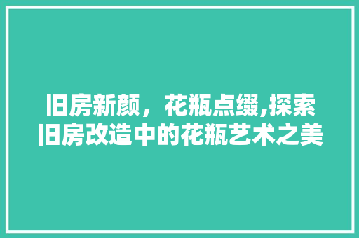 旧房新颜，花瓶点缀,探索旧房改造中的花瓶艺术之美 隔断设计