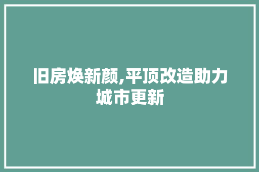 旧房焕新颜,平顶改造助力城市更新