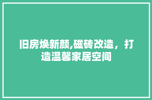 旧房焕新颜,磁砖改造,打造温馨家居空间 地面装修 旧房焕新颜,磁砖改造,打造温馨家居空间 地面装修
