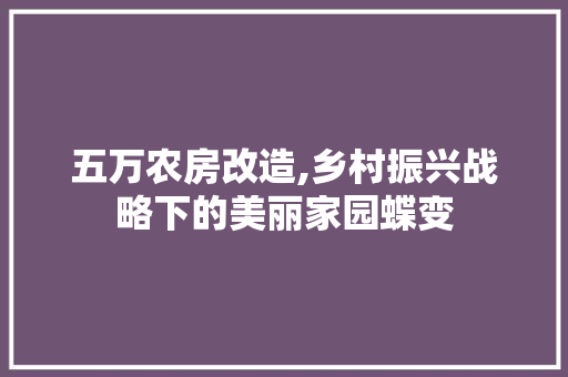 五万农房改造,乡村振兴战略下的美丽家园蝶变 装修攻略