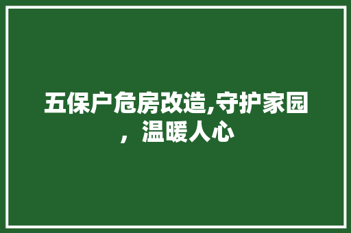 五保户危房改造,守护家园，温暖人心