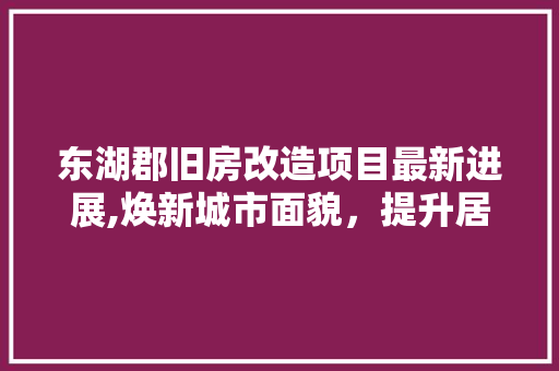 东湖郡旧房改造项目最新进展,焕新城市面貌，提升居民生活品质
