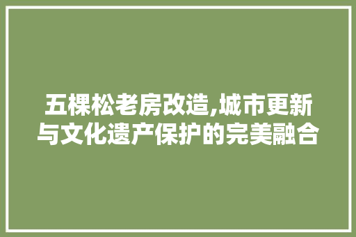 五棵松老房改造,城市更新与文化遗产保护的完美融合