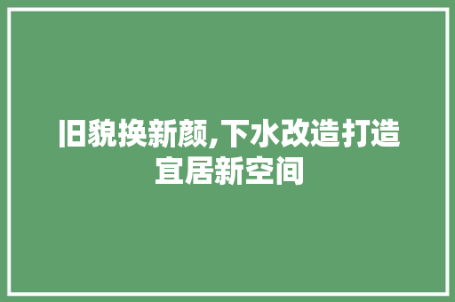 旧貌换新颜,下水改造打造宜居新空间