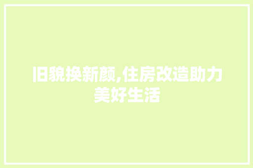 旧貌换新颜,住房改造助力美好生活