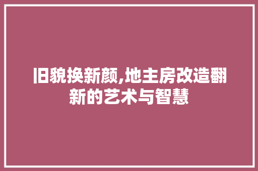 旧貌换新颜,地主房改造翻新的艺术与智慧