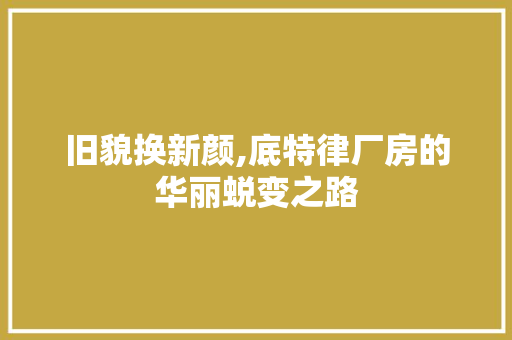 旧貌换新颜,底特律厂房的华丽蜕变之路