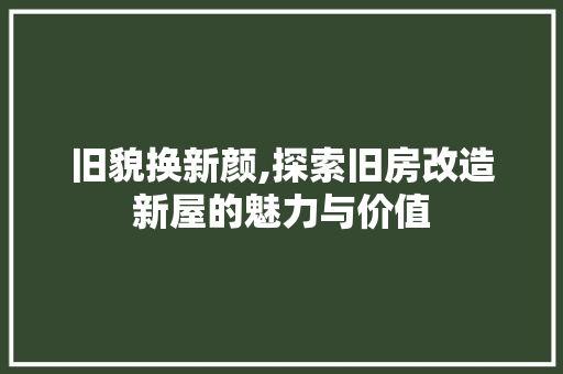 旧貌换新颜,探索旧房改造新屋的魅力与价值 装修材料
