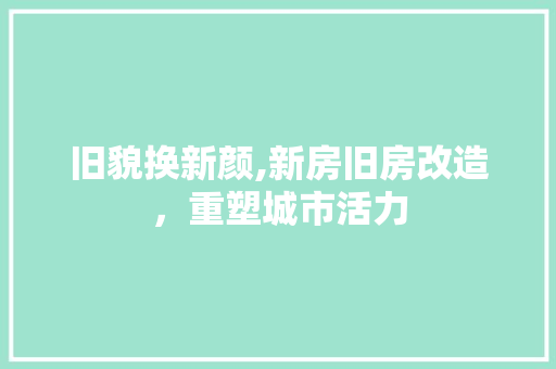 旧貌换新颜,新房旧房改造，重塑城市活力