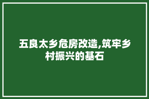 五良太乡危房改造,筑牢乡村振兴的基石