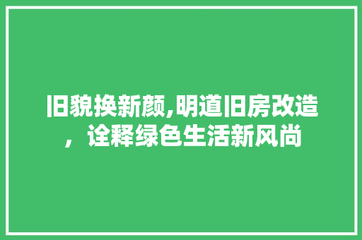 旧貌换新颜,明道旧房改造，诠释绿色生活新风尚