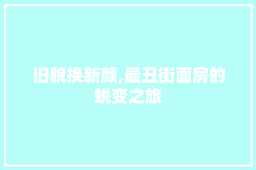 旧貌换新颜,最丑街面房的蜕变之旅