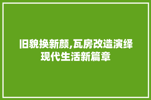 旧貌换新颜,瓦房改造演绎现代生活新篇章